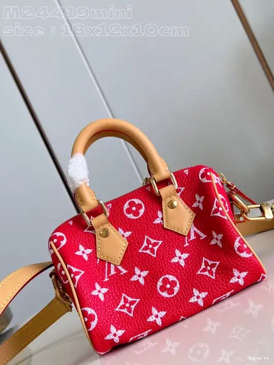 LOUIS SPEEDY 18 VUITTON 0508